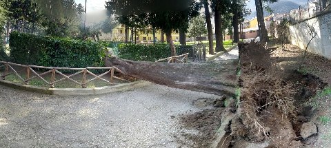 Villa Piante-03