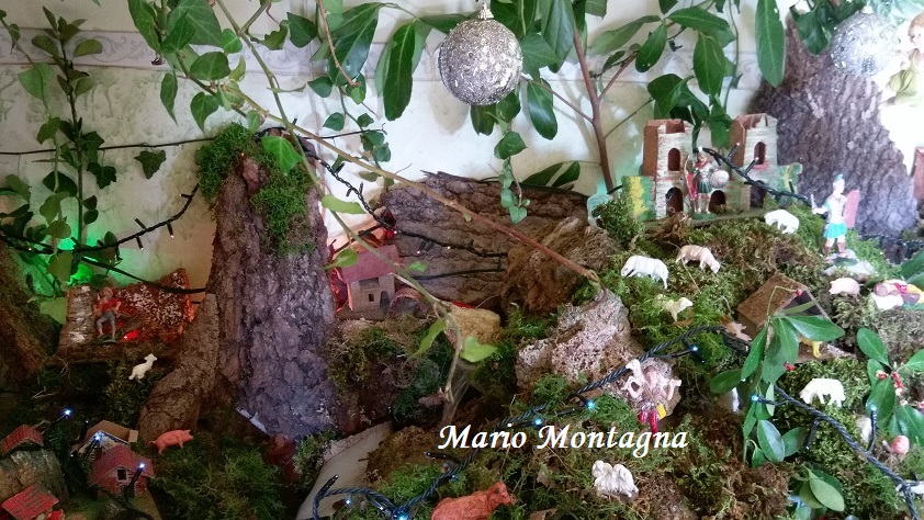 Mario Montagna 06