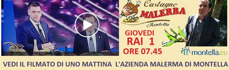 24 10 2019 RAI 1 MALERBA