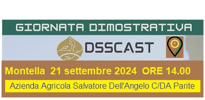 DSSCAST: Innovazione e Sostenibilità per la Castanicoltura Campana Montella 21 sett 2024