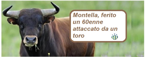Montella, ferito un 60enne attaccato da un toro: ricoverato al ‘Moscati’