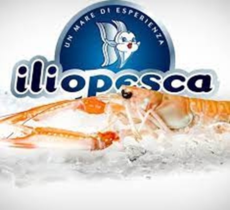 Sagra del pesce Iliopesca 02